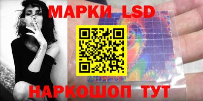 индика Лесосибирск