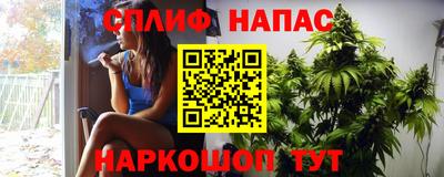 индика Лесосибирск