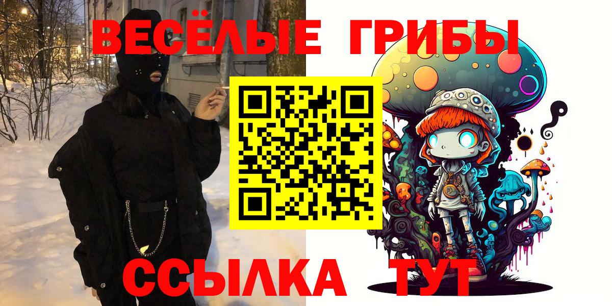 Псилоцибиновые грибы Psilocybine cubensis Санкт-Петербург
